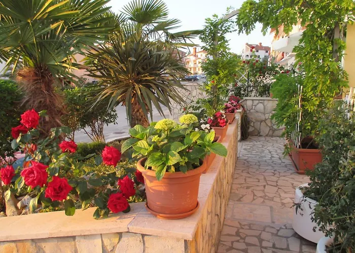 게스트하우스 Romina 브르사르